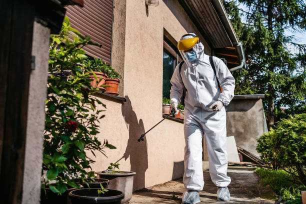 Best Best Pest Control Companies  in Queen Anne, MD
