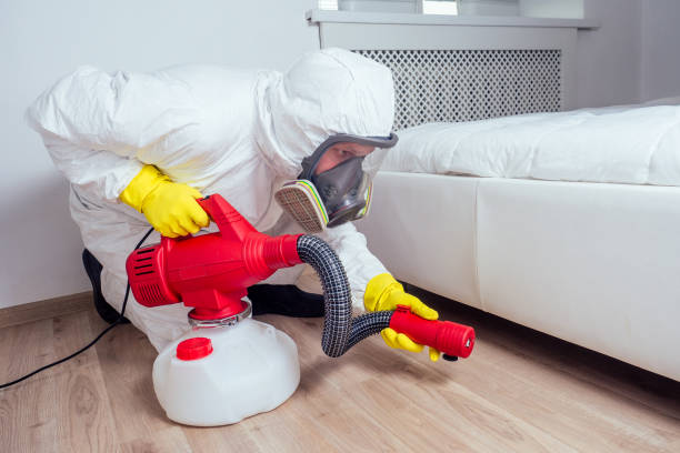 Professional Pest Control in Queen Anne, MD