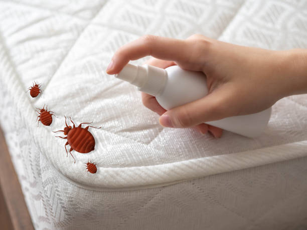 Best Pest Inspection Near Me  in Queen Anne, MD